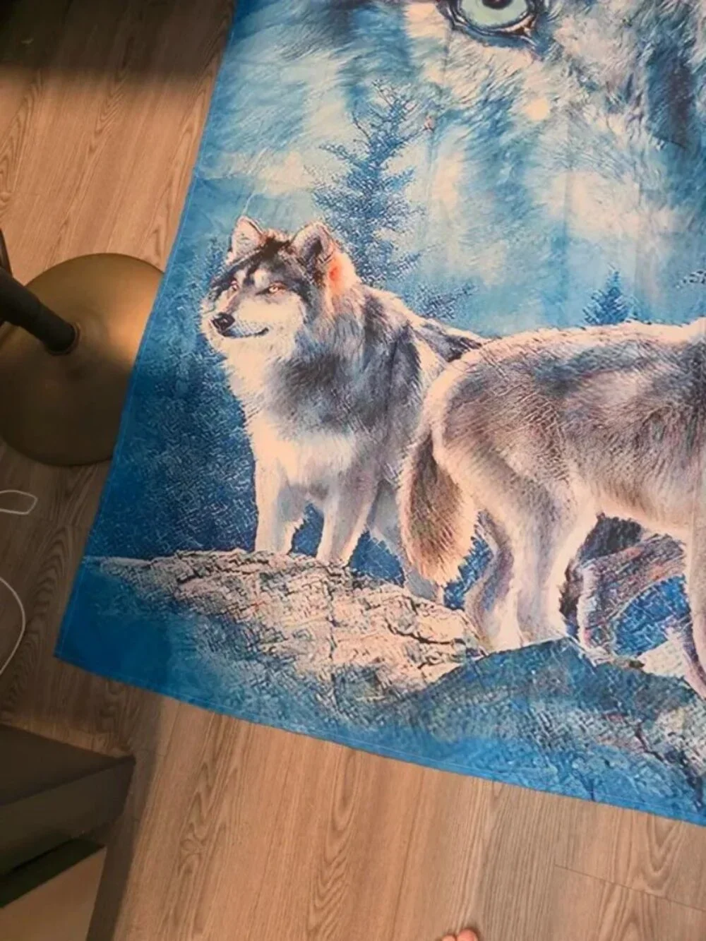 Toilet seat cover and shower curtain